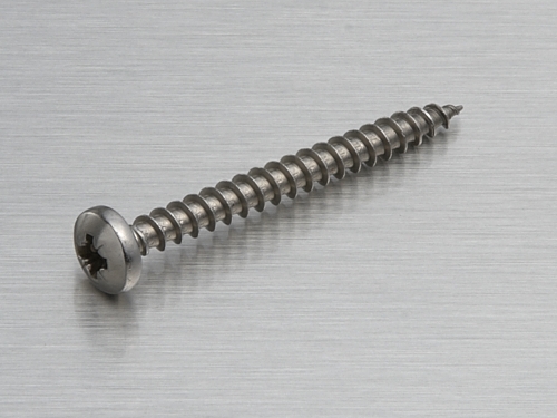 Stainless Steel panhead screws