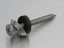 Birax screw 4,5x35