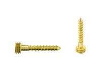 Quickfix Stainless steel screw 25mm goldlook Torx-pin