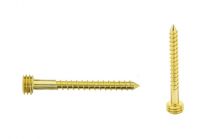 Quickfix Stainless steel screw 50mm gold Torx-pin
