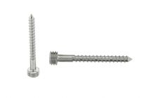 Quickfix Stainless steel screw 50mm Torx-pin