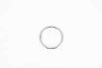 Ronde ring 20x3mm verzinkt