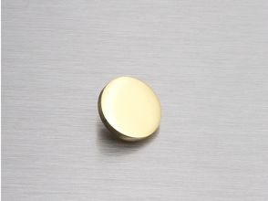 Metalfix 1 265 flat coverhead polished brass