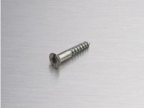 Metalfix 2 screw 25 mm