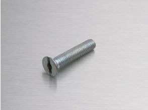 Metalfix 2 machinebolt DIN 962 M6x30