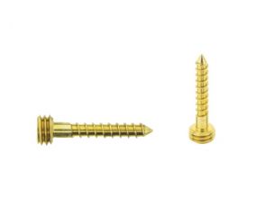 Quickfix Stainless steel screw 25mm goldlook Torx-pin