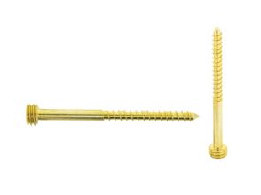 Quickfix Stainless steel screw 60mm gold Torx-pin