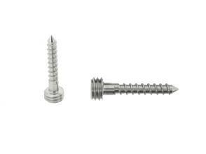 Quickfix Stainless steel screw 25mm Torx-pin