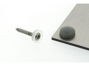 Snap Cap screw covers 13mm L.A. Grey