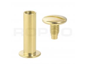 Vis à relier laiton 5 x 25 mm