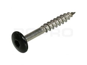 Vis HPL Trespa TX20 A2 4.8x38mm RAL9005 Gitzwart