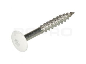 Vis HPL Trespa TX20 A2 4.8x38mm RAL9010 Blanc