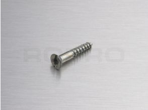 Metalfix 2 vis 25 mm