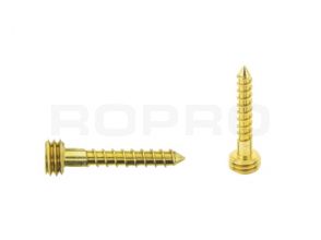 Quickfix inox vis 25mm d'or Torx-pin