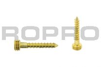 Quickfix Stainless steel screw 25mm goldlook Torx-pin