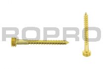 Quickfix Stainless steel screw 50mm gold Torx-pin