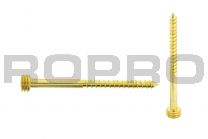 Quickfix Stainless steel screw 60mm gold Torx-pin