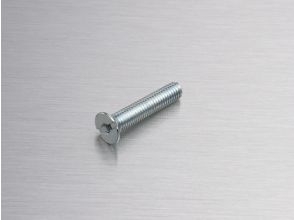 Metalfix 1 boulon DIN 962 M5x25