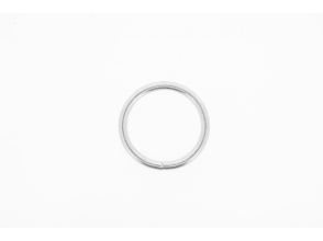 Ronde ring 25x3mm verzinkt
