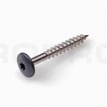 HPL Trespa screw TX20 A2 4.8x38mm RAL7016 Anthracite gray