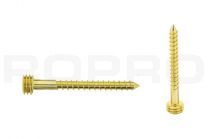 Quickfix Stainless steel screw 40mm gold Torx-pin