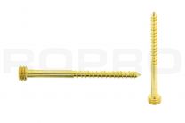 Quickfix Stainless steel screw 60mm gold Torx-pin