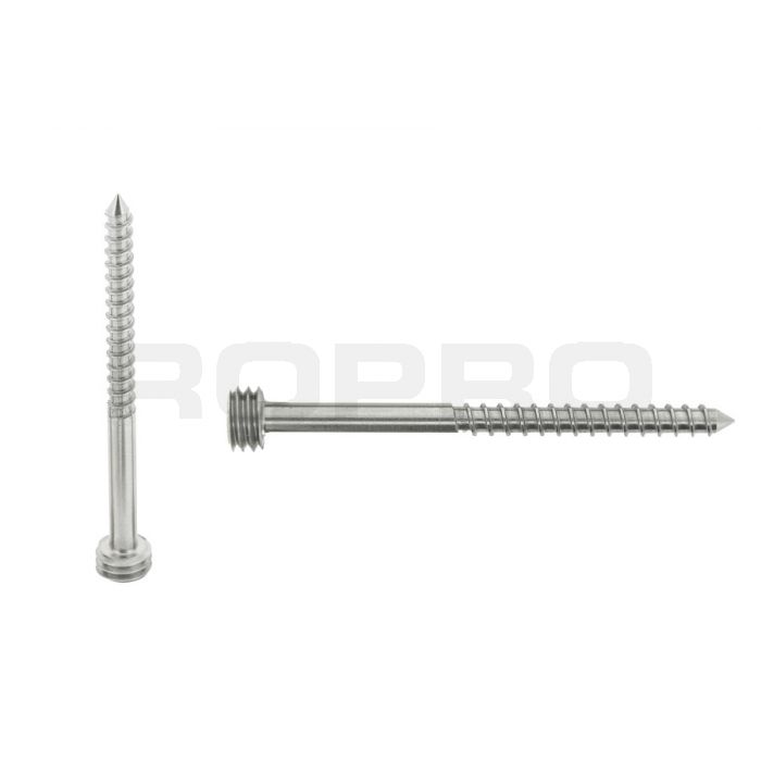 Quickfix inox vis 60mm Torx-pin Quickfix inox vis 60mm Torx-pin