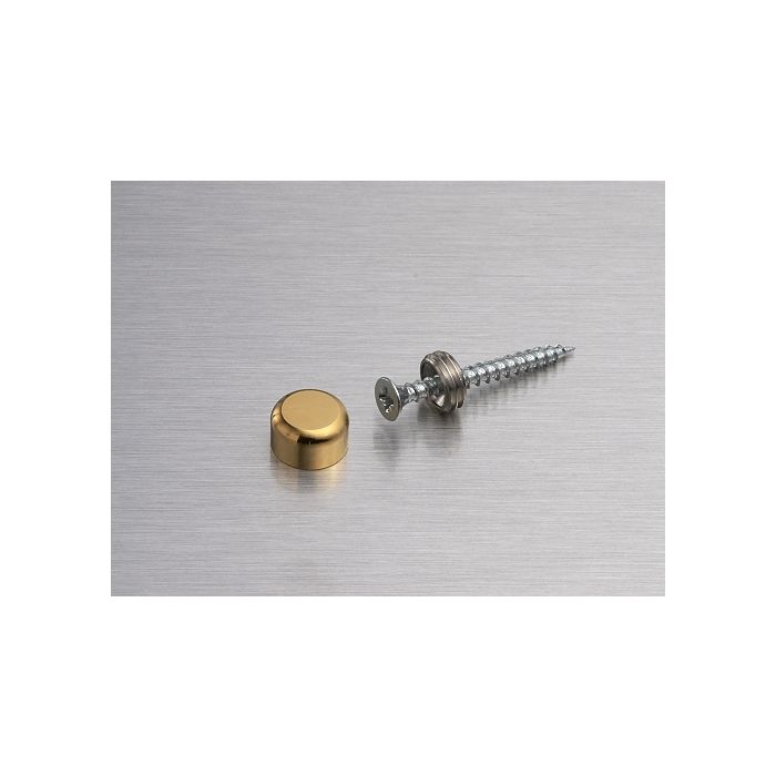 Cache vis 10mm dór Miniplex