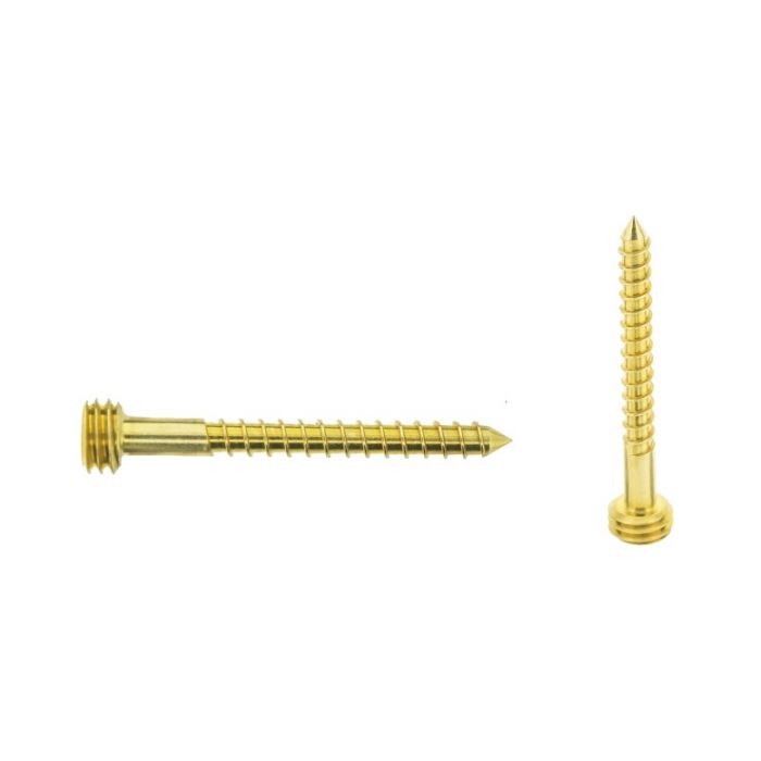 Quickfix Edelstahl Schraube 50mm gold Torx-pin Quickfix Edelstahl Schraube 50mm gold Torx-pin